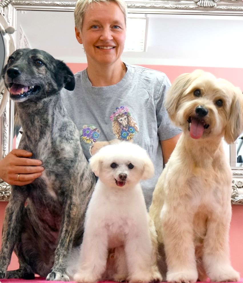 Daniela Braun Hundepflege München